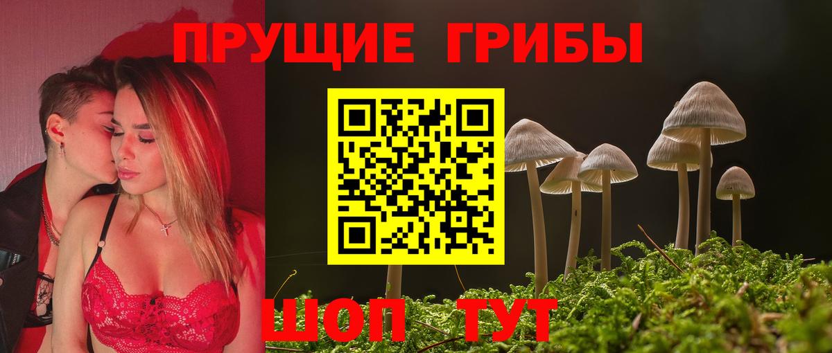 Всеволожск  Псилоцибиновые грибы прущие грибы  Вход с VPN 